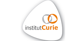 Marie Curie Research Institute