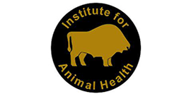Institute for Animal Health